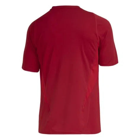 CAMISA TREINO COMISSAO FLAMENGO 2023 HS5207